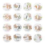 Cartes jalons bébé Bouni | 16 cartes mensuelles ours gravé — Souvenir naissance